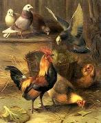 unknow artist Poultry 099 oil painting picture wholesale